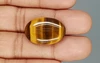 Tiger's Eye - TE 15074 Prime - Quality  23.55 Carat