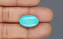 Arizona Turquoise - 14.25 Carat Rare Quality TQS-13612