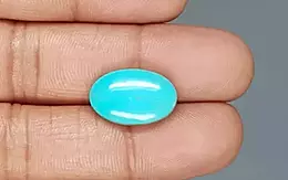Arizona Turquoise - 8.50 Carat Limited Quality TQS-13623
