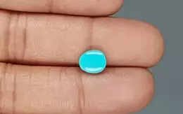 Arizona Turquoise - 1.64 Carat Rare Quality TQS-13640