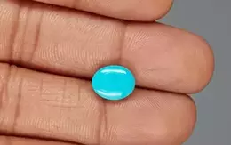 Arizona Turquoise - 2.71 Carat Prime Quality TQS-13746