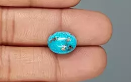 Irani Turquoise - 7.69 Carat Prime Quality TQS-13768