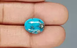 Irani Turquoise - 7.51 Carat Limited Quality TQS-13804