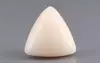  Italian White Coral - 11.93 Carat Limited Quality TWC-22062