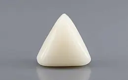 Italian White Coral - 12.23 Carat Rare Quality TWC-22099