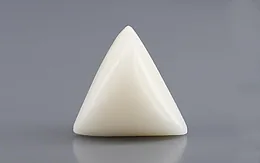 Italian White Coral - 12.88 Carat Rare Quality TWC-22100