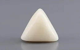 Italian White Coral - 8.43 Carat Rare Quality TWC-22101