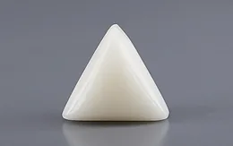 Italian White Coral - 11.04 Carat Rare Quality TWC-22102