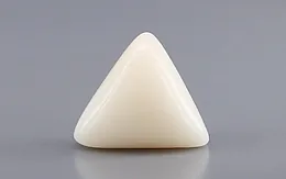 Italian White Coral - 11.08 Carat Rare Quality TWC-22104