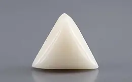 Italian White Coral - 11.14 Carat Rare Quality TWC-22105