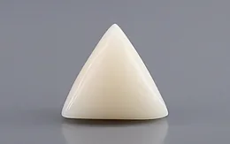 Italian White Coral - 10.90 Carat Rare Quality TWC-22106