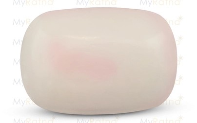  White Coral - WC 7504 Prime - Quality