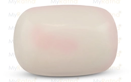  White Coral - WC 7504 Prime - Quality