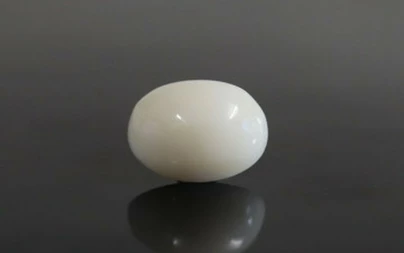  White Coral - WC 7572 (Origin-Italian) Prime - Quality