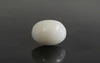  White Coral - WC 7572 (Origin-Italian) Prime - Quality