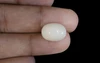  White Coral - WC 7572 (Origin-Italian) Prime - Quality