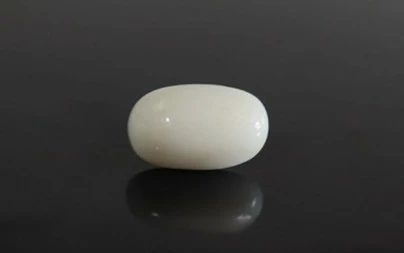  White Coral - WC 7576 (Origin-Italian) Prime - Quality