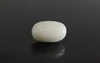  White Coral - WC 7576 (Origin-Italian) Prime - Quality