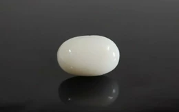  White Coral - WC 7578 (Origin-Italian) Prime - Quality