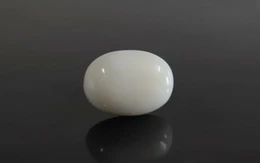  White Coral - WC 7579 (Origin-Italian) Prime - Quality